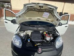 Usata 2019 Fiat Panda Pop Due volumi | 6000 € (Super prezzo)