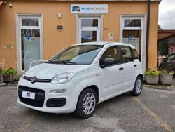 Bianco Usata 2021 Fiat Panda Easy Tre volumi | 8990 € (Ottimo prezzo)