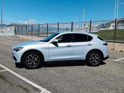 Grigio Usata 2020 Alfa Romeo Stelvio SUV | 35.800 € (Molto cara)