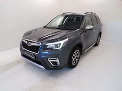 Grigio mag Usata 2020 Subaru Forester Style SUV | 24.900 € (Ottimo prezzo)