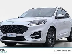Bianco Usata 2023 Ford Kuga ST-Line SUV | 23.400 € (Buon prezzo)