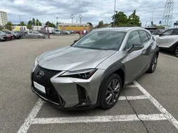 Grigio Usata 2020 Lexus UX 250h Sport Line SUV | 25.990 € (Cara)