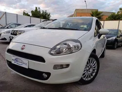 Bianco Usata 2014 Fiat Punto Street Due volumi | 4490 € (Ottimo prezzo)
