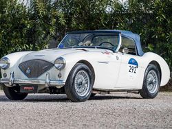 Bianco Usata 1954 Austin-Healey 100 Cabrio | 71.500 €