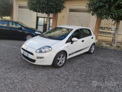 Bianco Usata 2012 Fiat Punto Lounge Due volumi | 2500 € (Super prezzo)