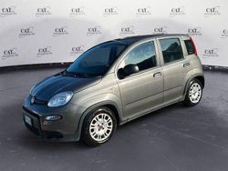 Grigio Usata 2023 Fiat Panda Tre volumi | 10.500 € (Buon prezzo)