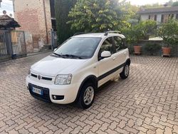 Bianco Usata 2012 Fiat Panda 4x4 Due volumi | 9000 € (Molto cara)