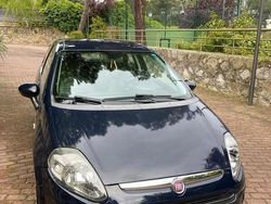 Blu Usata 2010 Fiat Punto Due volumi | 3800 € (Buon prezzo)