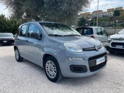 Grigio Usata 2020 Fiat Panda Due volumi | 7980 € (Ottimo prezzo)