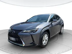 Grigio Usata 2021 Lexus UX 250h Business Edition SUV | 20.900 € (Buon prezzo)