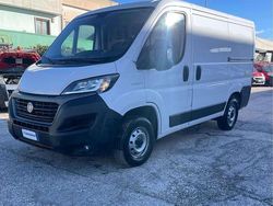 Bianco Usata 2020 Fiat Ducato 33 Furgone | 12.790 € (Super prezzo)