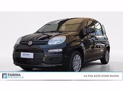 Nero cinema pastello Nuova 2025 Fiat Panda S Due volumi | 13.500 € (Buon prezzo)