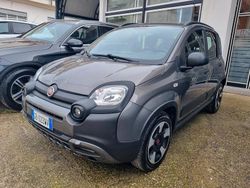 Grigio Usata 2020 Fiat Panda Cross Cross Due volumi | 8500 € (Buon prezzo)