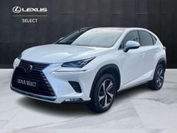 Bianco Usata 2019 Lexus NX300h Luxury Line SUV | 33.900 € (Molto cara)