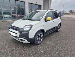 Bianco Usata 2025 Fiat Panda Cross Cross Due volumi | 14.900 € (Buon prezzo)