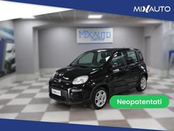 Viola Usata 2024 Fiat Panda Due volumi | 10.900 € (Ottimo prezzo)