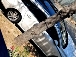 Usata 2014 Peugeot 508 Station wagon | 3700 € (Super prezzo)