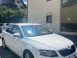 Usata 2014 Skoda Octavia Ambition Tre volumi | 6000 € (Buon prezzo)