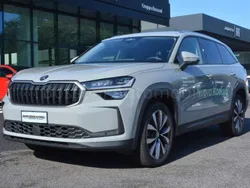 Grigio Nuova 2024 Skoda Kodiaq Selection SUV | 44.900 € (Cara)