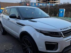 Bianco Usata 2017 Land Rover Range Rover evoque SUV | 18.999 € (Ottimo prezzo)