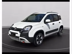 Bianco divino Usata 2024 Fiat Panda Cross Cross Due volumi | 14.550 € (Buon prezzo)