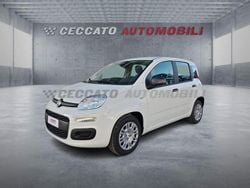 Bianco Nuova 2025 Fiat Grande Panda Icon Due volumi | 14.400 € (Buon prezzo)