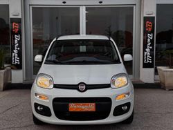 Bianco Usata 2016 Fiat Panda Lounge Due volumi | 9000 € (Buon prezzo)