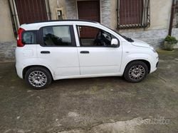 Bianco Usata 2016 Fiat Panda Monovolume | 6500 € (Super prezzo)