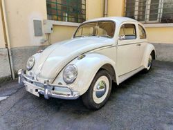 Bianco Usata 1963 VW Maggiolino Due volumi | 24.900 €