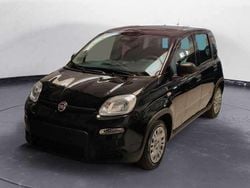 Nero cattivo Usata 2024 Fiat Panda Due volumi | 11.950 € (Buon prezzo)