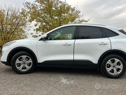 Bianco Usata 2021 Ford Kuga SUV | 17.000 € (Super prezzo)
