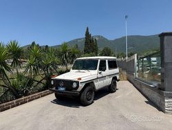Nessuno(met.) Usata 1988 Mercedes G250 SUV | 17.500 €