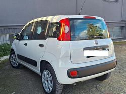 Bianco Usata 2016 Fiat Panda Tre volumi | 6000 € (Buon prezzo)