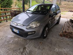 Grigio Usata 2012 Fiat Punto Evo Due volumi | 3600 € (Buon prezzo)