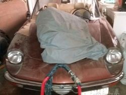 Marrone Usata 1982 Alfa Romeo Spider Cabrio | 24.000 €