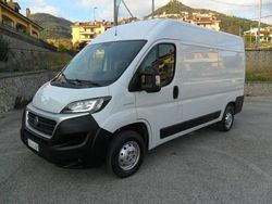 Bianco Usata 2020 Fiat Ducato Furgone | 12.100 € (Ottimo prezzo)