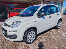 Bianco Usata 2018 Fiat Panda Easy Due volumi | 9800 € (Buon prezzo)