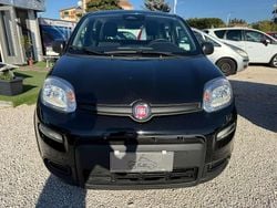 Other Usata 2024 Fiat Panda S Due volumi | 11.990 € (Buon prezzo)