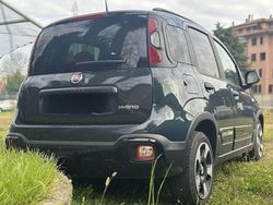 Verde Usata 2024 Fiat Panda Cross Cross Due volumi | 14.850 € (Buon prezzo)