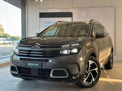 Grigio Usata 2019 Citroën C5 Aircross Shine SUV | 14.800 € (Buon prezzo)