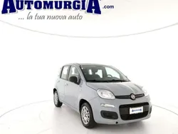 Grigio Usata 2019 Fiat Panda Easy Due volumi | 9700 € (Buon prezzo)