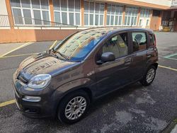 Grigio Usata 2017 Fiat Panda Easy Due volumi | 8800 € (Buon prezzo)