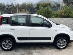 Usata 2013 Fiat Panda 4x4 Climbing Due volumi | 7900 € (Cara)