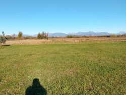 Bianco Usata 2010 Renault Clio II Due volumi | 2800 € (Buon prezzo)