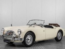 Bianco Usata 1961 MG 1600 Cabrio | 32.500 €