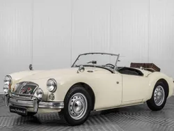 Bianco Usata 1961 MG 1600 Cabrio | 32.500 €