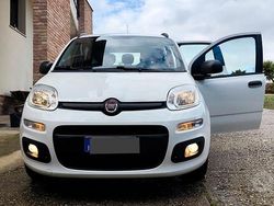 Usata 2013 Fiat Panda Easy Tre volumi | 8500 € (Buon prezzo)
