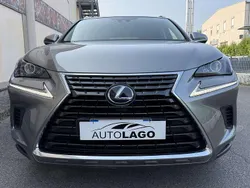 Grigio Usata 2020 Lexus NX300h Business Edition SUV | 23.500 € (Buon prezzo)