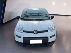 Bianco Usata 2024 Fiat Panda Due volumi | 11.500 € (Buon prezzo)