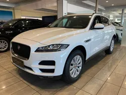 Bianco Nuova 2025 Jaguar F-Pace Prestige SUV | 56.500 €